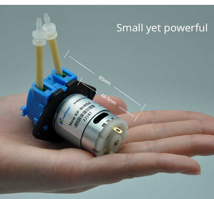 2026年新型NKP 6V 12V 24V DCモーター カ - Dc Motor 12V のレビューと価格