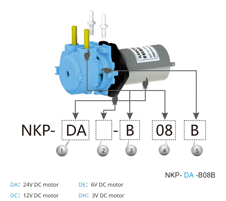 2026年新型NKP 6V 12V 24V DCモーター カ - Dc Motor 12V のレビューと価格