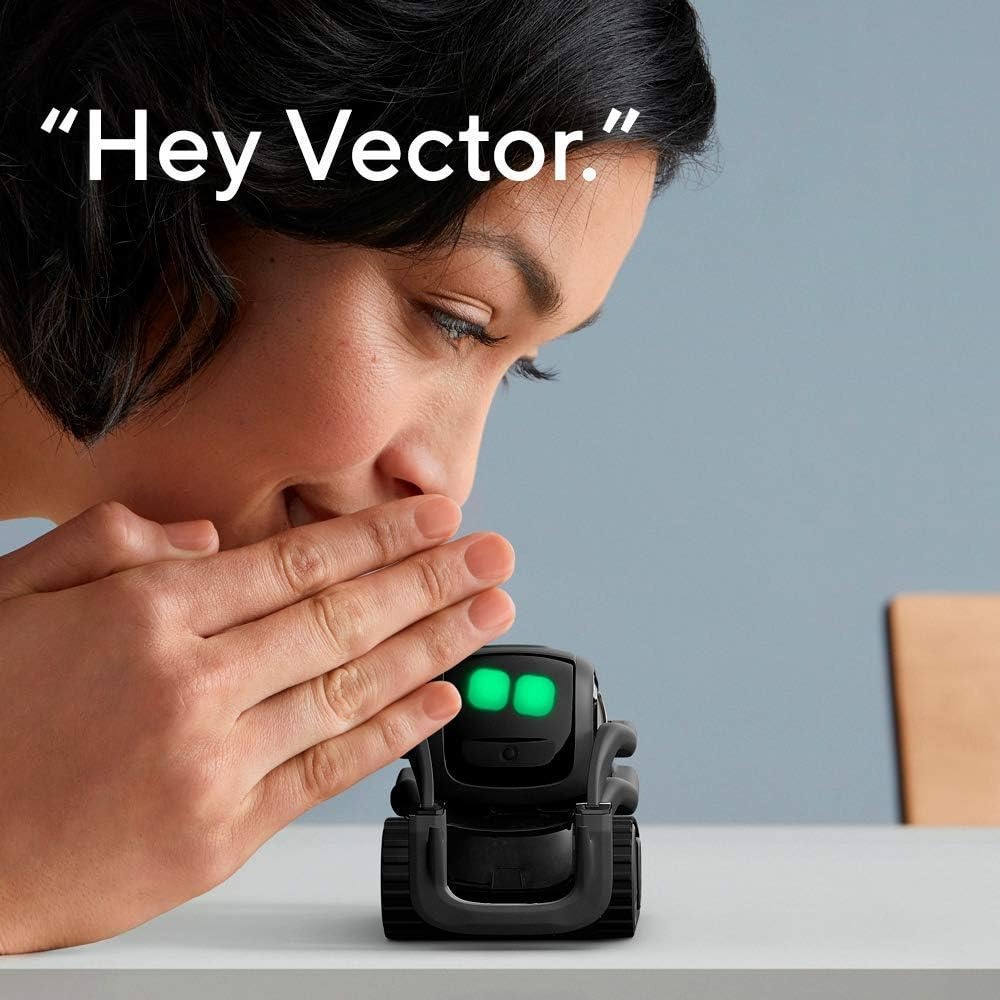 AI ChatGPT 2.0接続ロボットコンパニオン、顔認識 - Robot Remote Control のレビューと価格