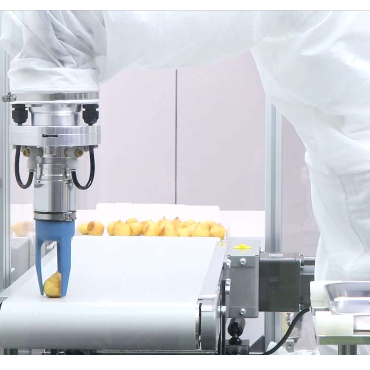 6軸CNCロボットアーム（リニアガイドレール、グリッパー、ド - Robot Gripper のレビューと価格